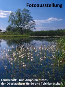 Fotoausstellung