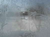 Winter (25.1.2013)