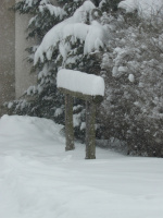 Pferdeanbindestelle (25.2.2013)