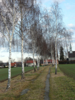 KIrchweg nach Saritsch (12.1.2014)