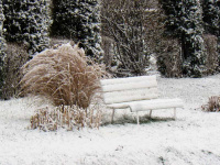 Winter 2018