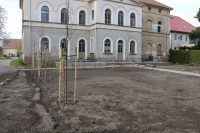 und Baumpflanzung