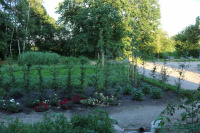Blick von der Terrasse 1