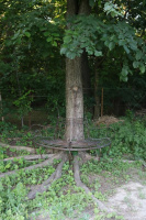 Baumbank