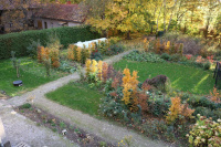 Herbstfärbung Oktober 2020
