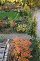 Herbstfärbung Oktober 2020