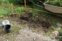 Pflanzen eintopfen aus angrenzenden Beet